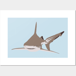 Sandbar Shark Posters and Art